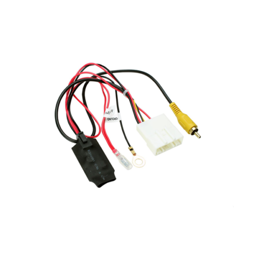 CAM-NS1-RT