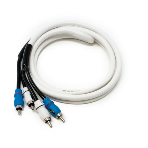 SMRCA2
